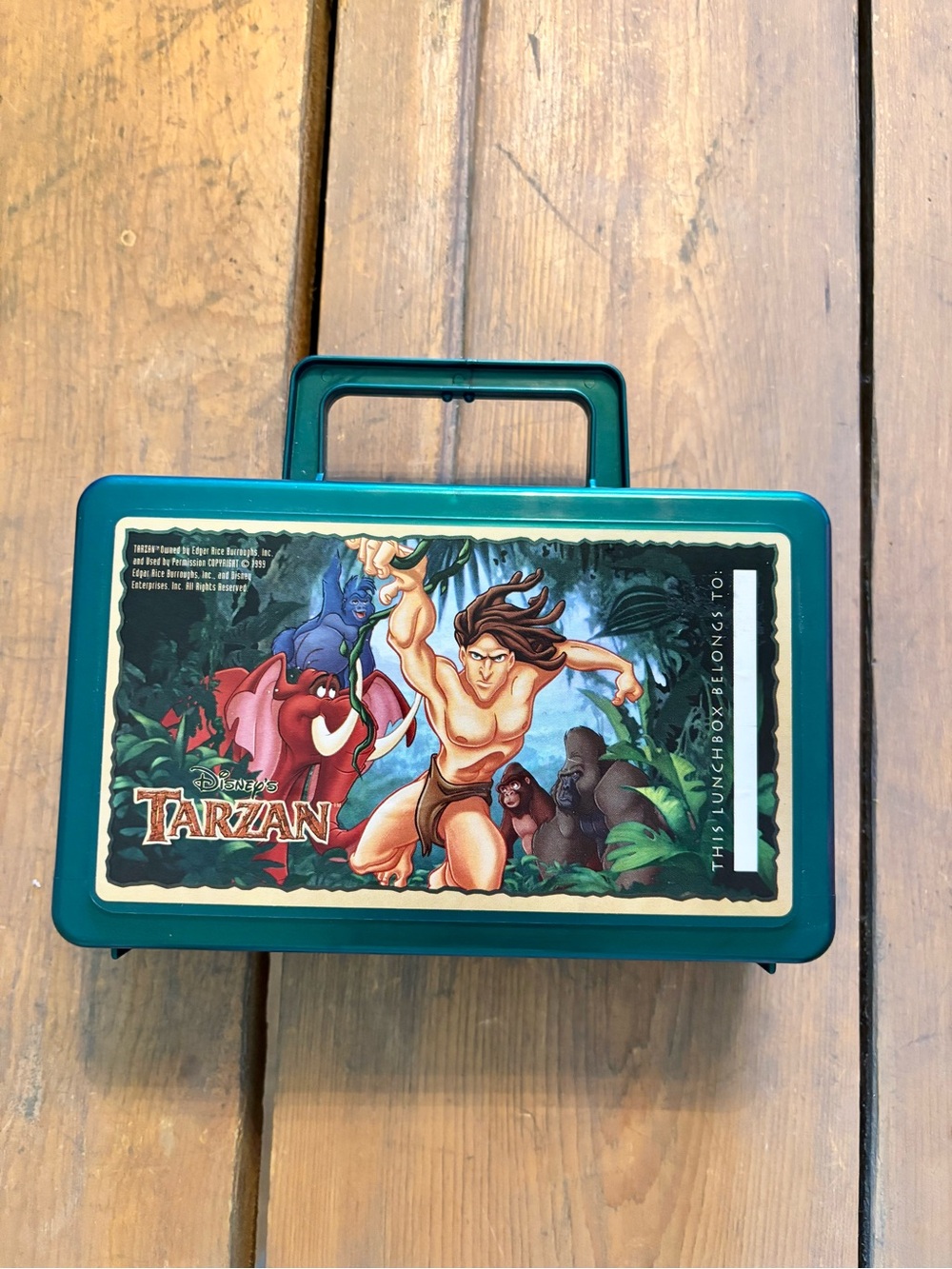 Disney Tarzan Green Lunch Box Container